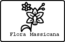 Flora presente sulle colline del Monte Massico (CE)