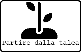 Propagare le piante tramite talea